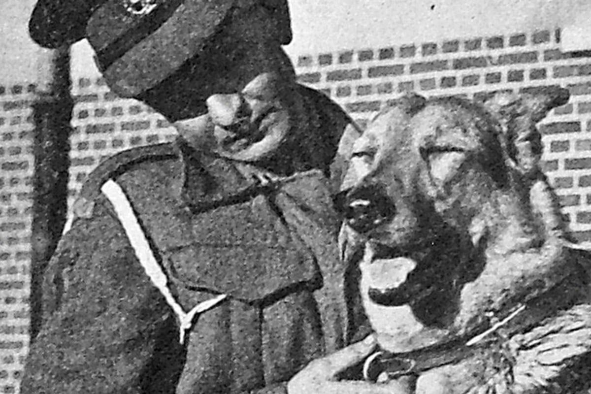 The Paratrooper Dogs of the World War II D-Day Landings